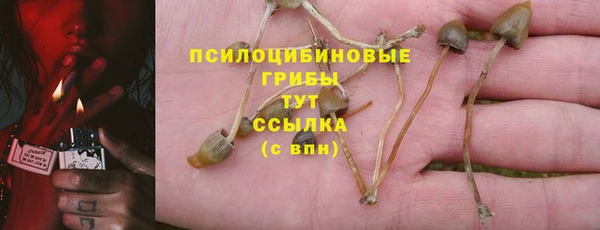 таблы Арсеньев