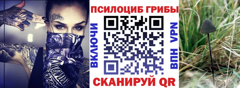 как найти закладки  Перевоз  Галлюциногенные грибы MAGIC MUSHROOMS 